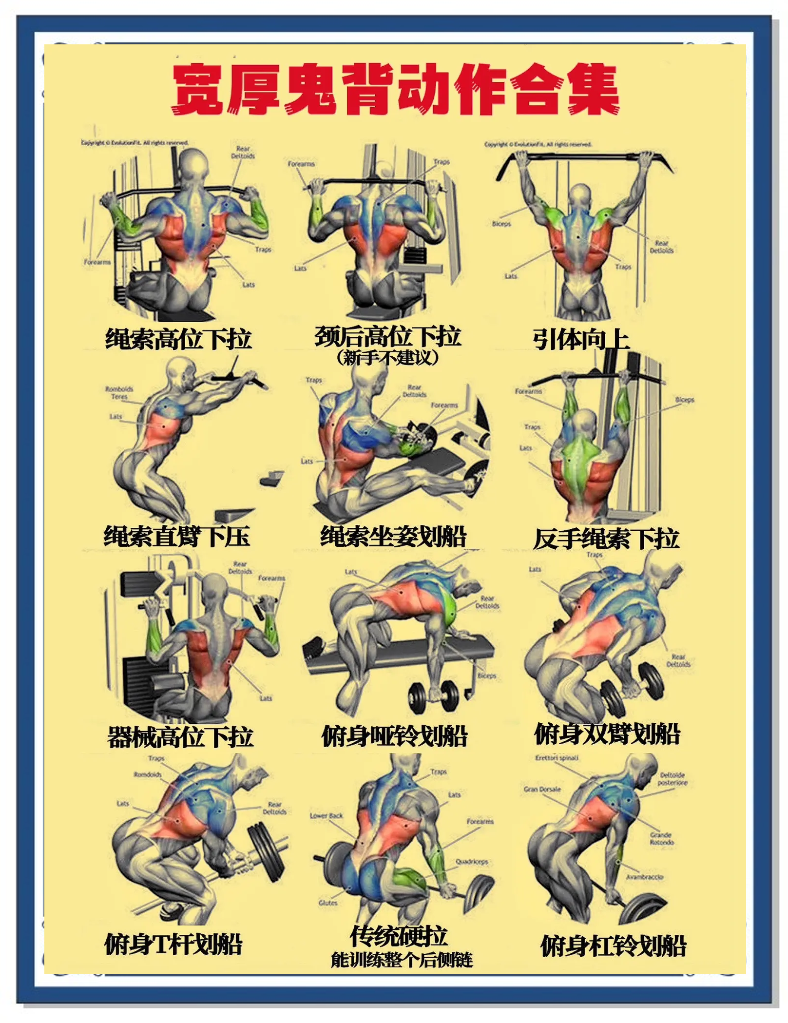 NBA球员的训练日常大揭秘，备战技巧全解析的简单介绍