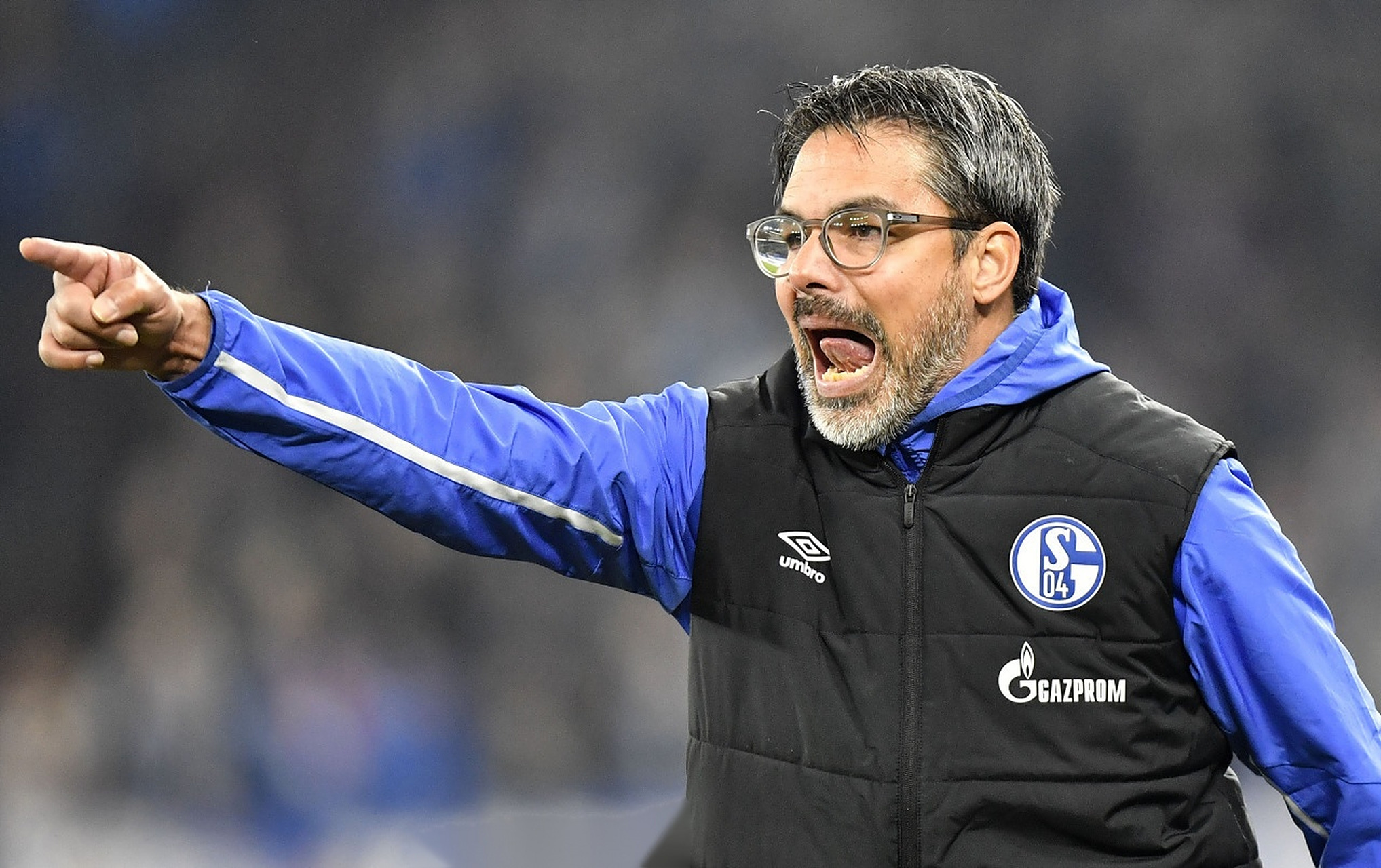 关于沙尔克遭逢连败,危机四伏需要振奋的信息 关于沙尔克遭逢连败,危机四伏需要振奋的信息