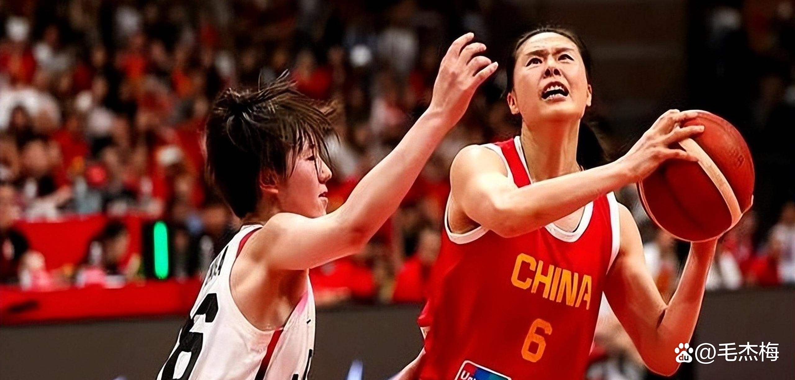 波兰女篮勇往直前，团结协作迎新挑战的简单介绍