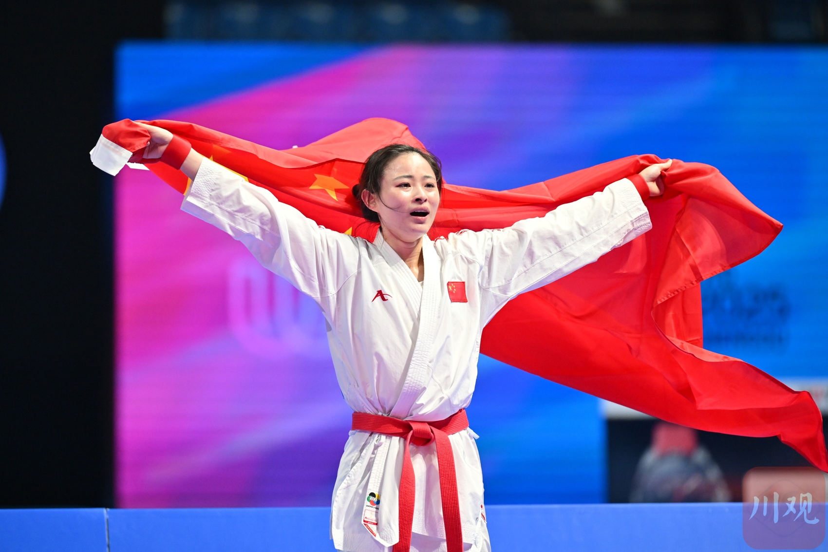 aoa体育-瑞士冲刺选手搏击赛场，勇夺金牌