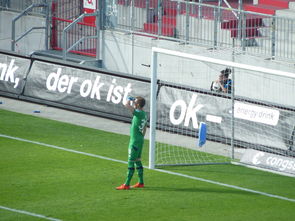 aoa体育直播-汉堡队接连失利，德国顶级联赛降级压力巨大